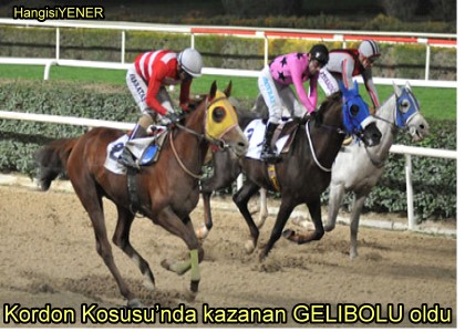 GELBOLU BLDNZ GB