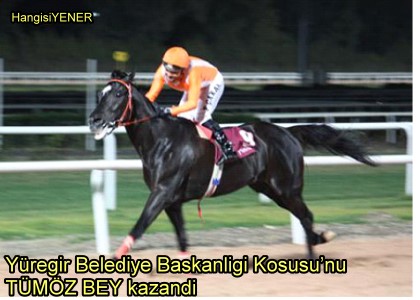 YAINA RAMEN HERZAMAN TMZ BEY
