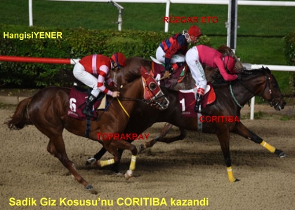 CORTIBA DAN BR BAARI DAHA