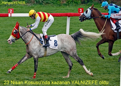 YALNIZEFE ESK FORMUNA GER DND
