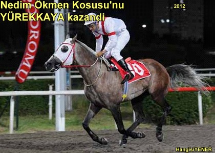 NEDM KMEN KOUSUNU YREKKAYA KAZANDI