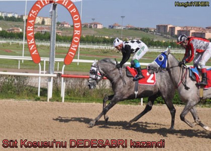 St Kousunu DEDESABR kazand