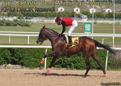 Tapu Kadastro Genel Mdrl Kousunu KING DROK kazand