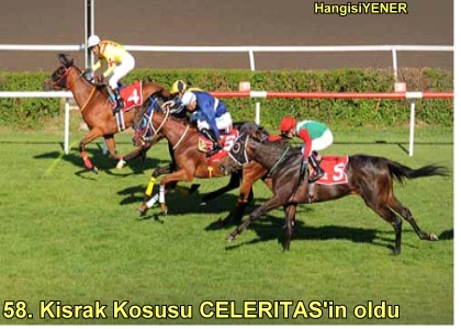 CELERTAS  S.KAYA DARESNDE YNE KANATLANDI