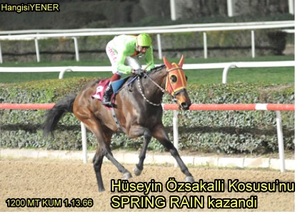 SPRNG RAN FORMUNUN ZRVESNDE