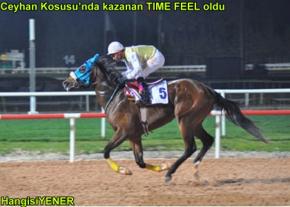 TIME FEEL FAVORY DNLEMED BLE