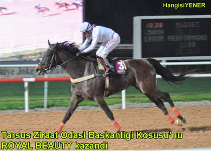 H.KARATA DARESNDE ROYAL BEAUTY OK RAHAT