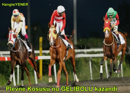 GELBOLU GER DND