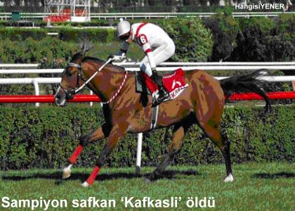 AMPYON  KAFKASLI  LD