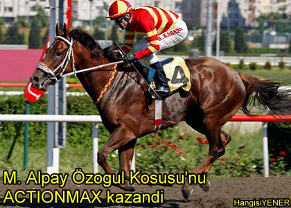 ACTIONMAX SAHALARA GER DND