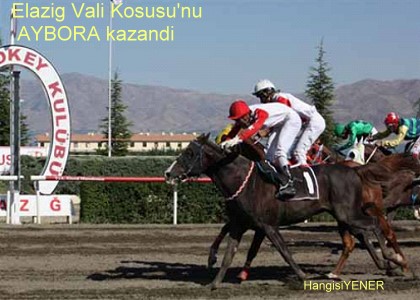 ELAZI VAL KUPASI AYBORANIN