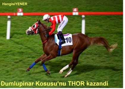 THOR BU KEZ AFFETMED
