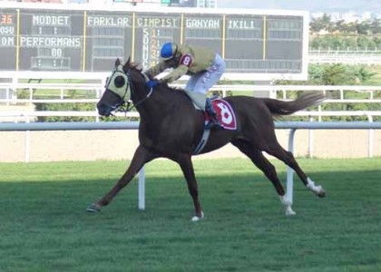 ERSOYLU KO�USUNU BESLENEY KAZANDI