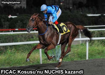 NUCHIS KANATLANDI