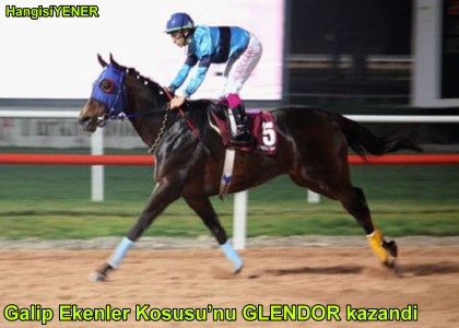 GLENDOR RAKPLERNE MEYDAN OKUYOR