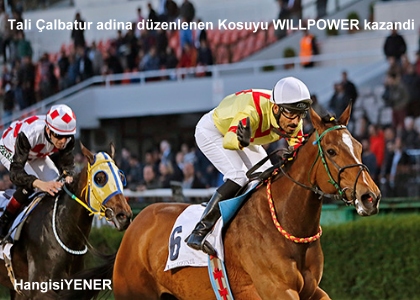 WILLPOWER TAL ALBATUR KOUSUNU KAZANDI