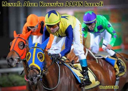 Mustafa Alver Kousunu AAPIN kazand