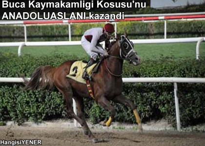 Buca Kaymakaml Kousunu ANADOLUASLANI kazand