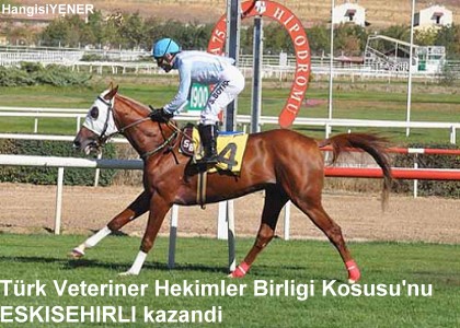 Trk Veteriner Hekimler Birlii Kousunu ESKEHRL kazand