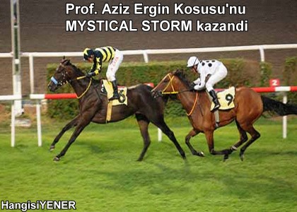 Prof. Aziz Ergin Kousunu MYSTICAL STORM kazand