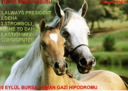 YUNUS EMRE KOUSUNU KM KAZANACAK?