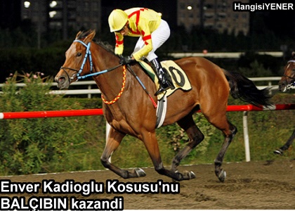 Enver Kadolu Kousunu BALBN kazand