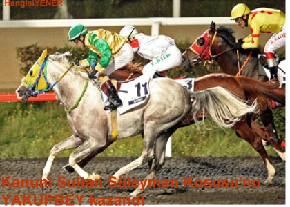 MTH MCADELE SON SZ YAKUPBEY N OLDU
