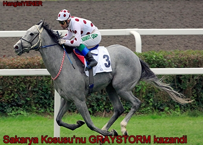 Sakarya Kousunu GRAYSTORM kazand