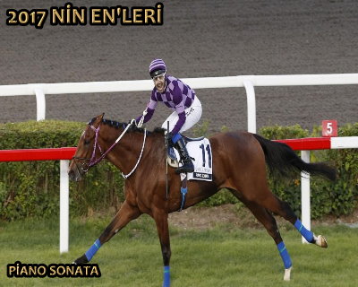 2017 nin ENleri Bellirlendi.(KARAYEL DLLER)